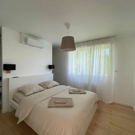 Olivier Du Ciel Odc Apartment Strasbourg
